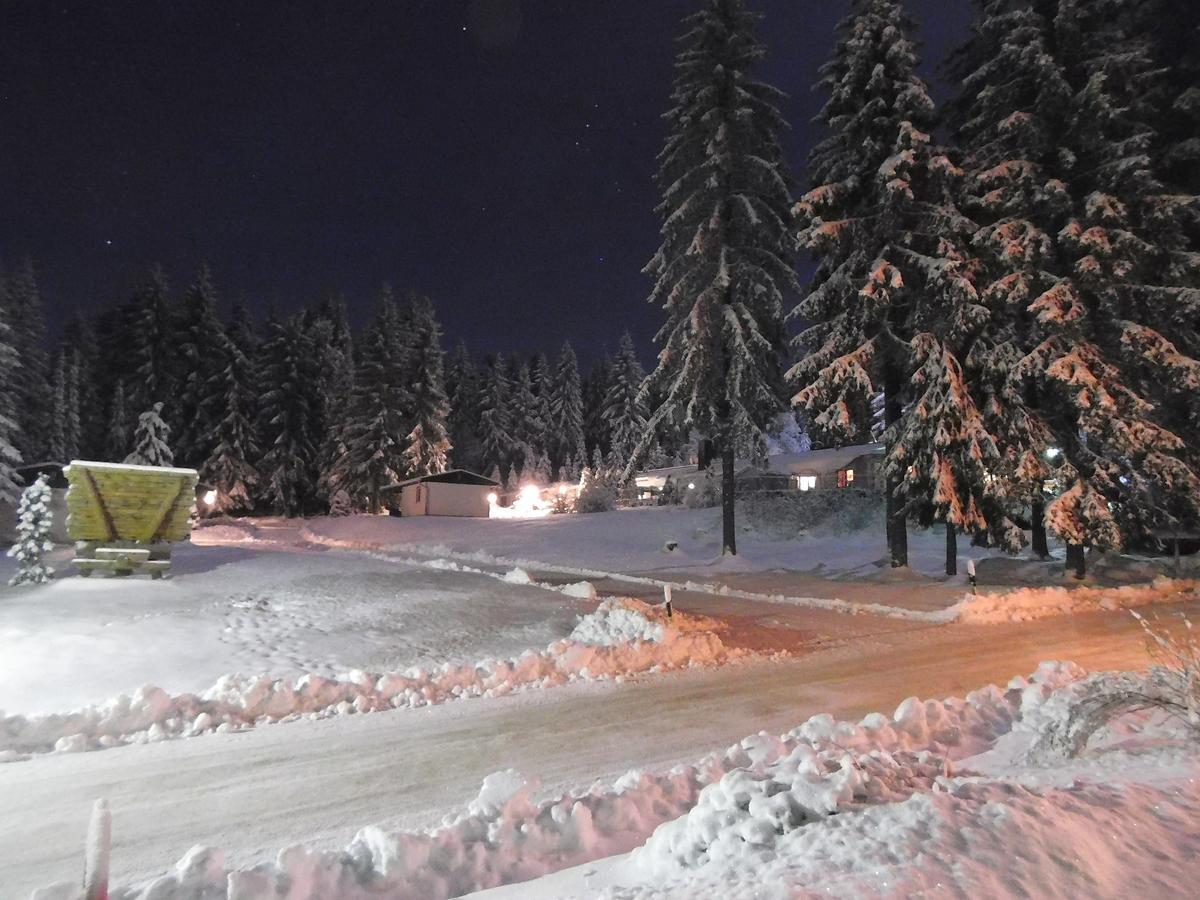 فراونوالد Waldhotel Rennsteighoehe المظهر الخارجي الصورة