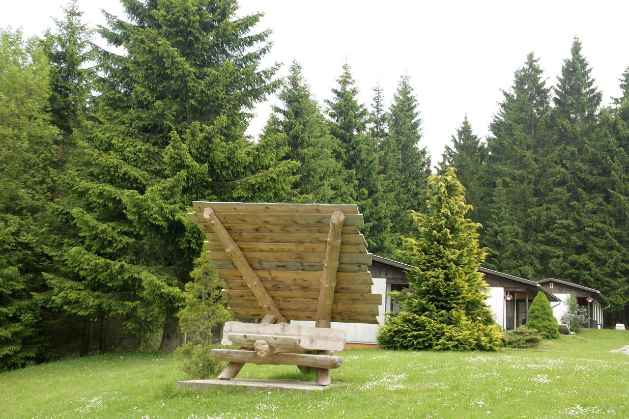 فراونوالد Waldhotel Rennsteighoehe المظهر الخارجي الصورة